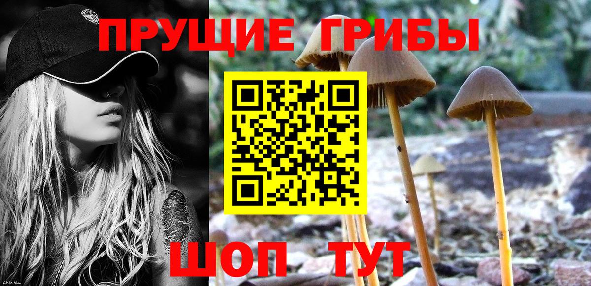 Псилоцибиновые грибы MAGIC MUSHROOMS Орёл