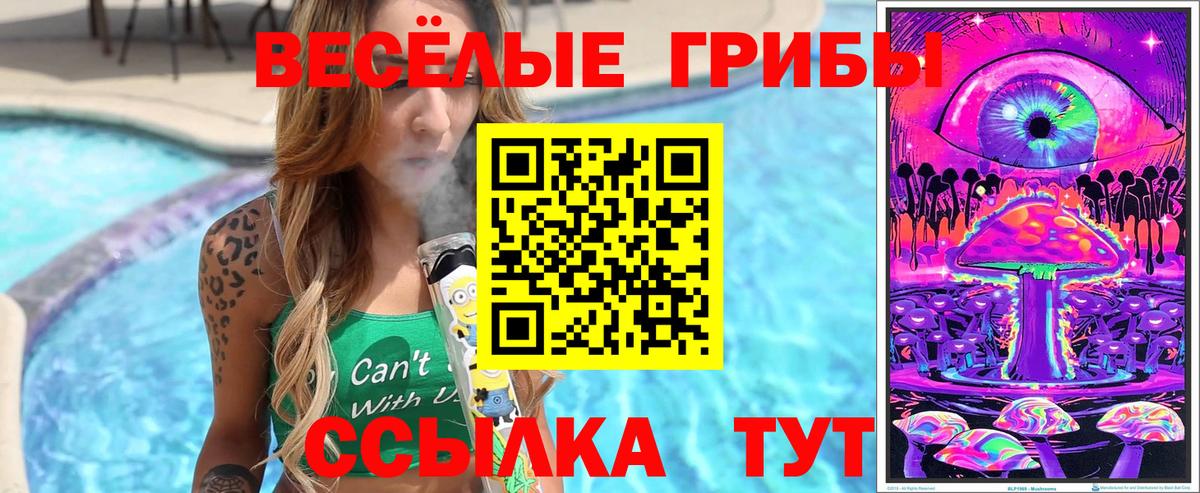 как найти закладки  Галлюциногенные грибы Cubensis  Вход с VPN  Орёл 